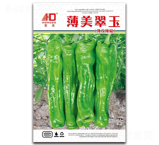 �������񣨱�Ƥ������-�����N��-���_(d��)