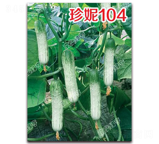 ����104-С�S�ϷN��-�ϰľG��