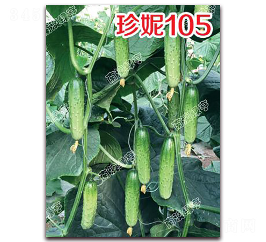 ����105-С�S�ϷN��-�ϰľG��