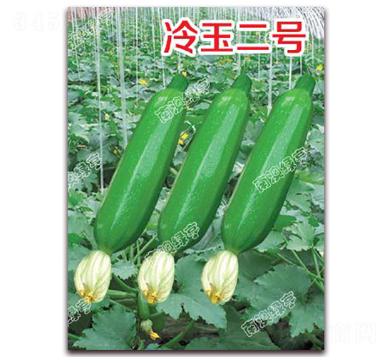 �����̖-�����J�N��-�ϰľG��