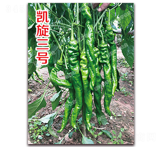 �P����̖(h��o)-�ݽz���N��-�ϰľG��