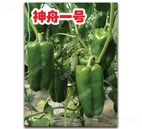 ����һ̖(h��o)-�𽷷N��-�ϰľG��