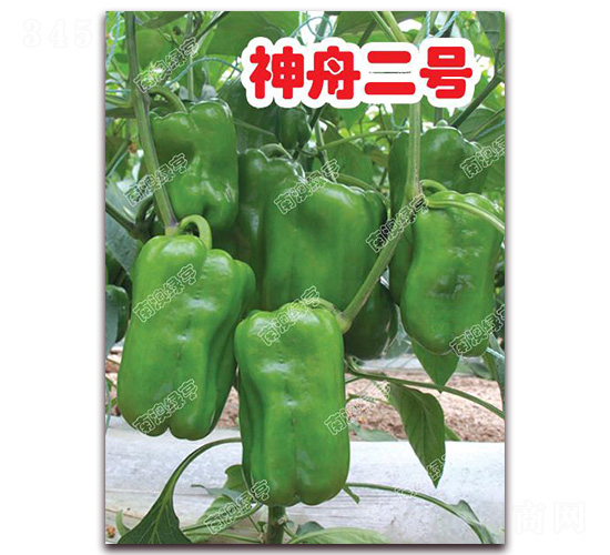 ���۶�̖(h��o)-�𽷷N��-�ϰľG��