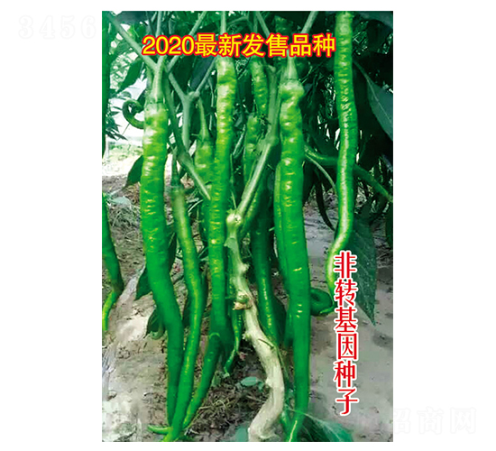 ���Lȫ��烞(y��u)-�����N��-Ӣ���m��