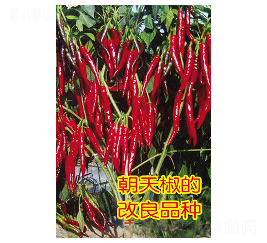 ����w��-�����N��-Ӣ���m��