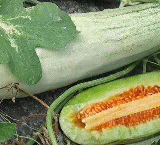 ��Ǵ�N��-Ӣ���m��