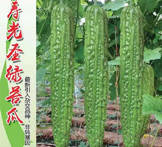 �۹�ʥ�G���-��ϷN��-Ӣ���m��