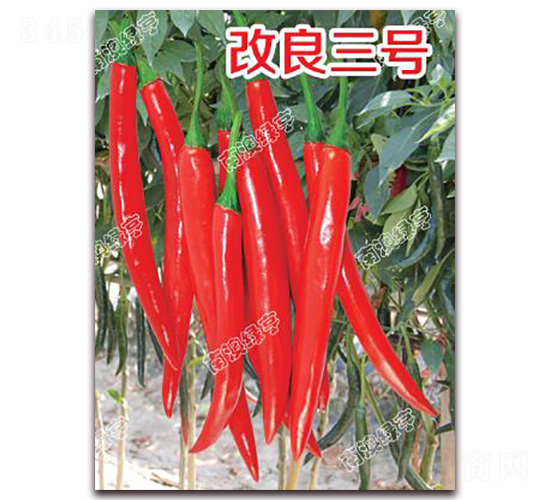 ������̖-�⽷�N��-�ϰľG��