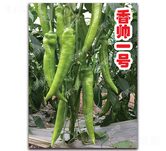 �㎛һ̖-�⽷�N��-�ϰľG��