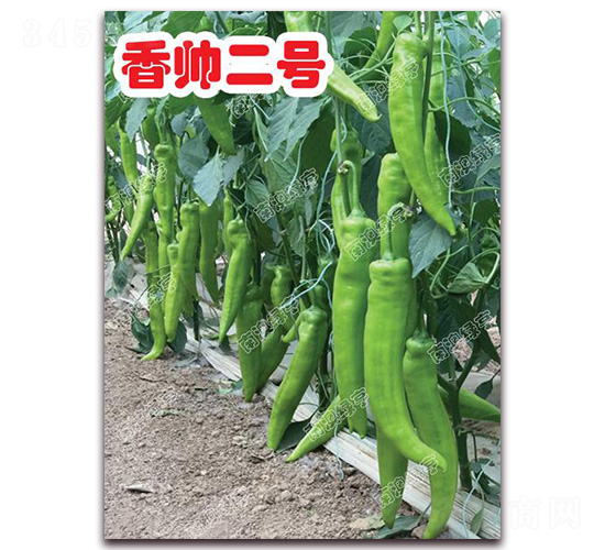 �㎛��̖-�⽷�N��-�ϰľG��