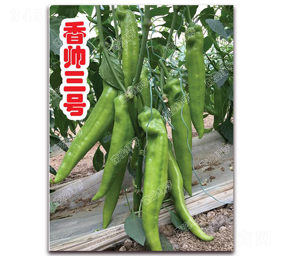 �㎛��̖-�⽷�N��-�ϰľG��