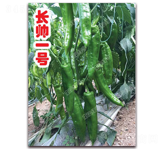 �L��һ̖(h��o)-�⽷�N��-�ϰľG��