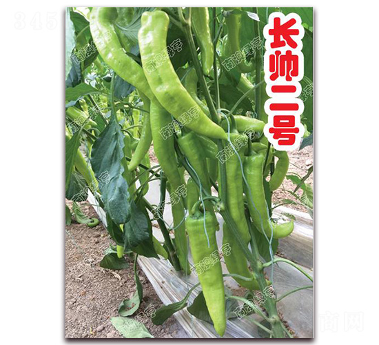 �L����̖-�⽷�N��-�ϰľG��