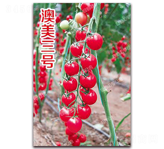 ������̖(h��o)-���ҷ��ѷN��-�ϰľG��