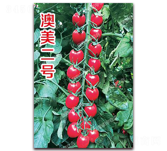 ������̖(h��o)-���ҷ��ѷN��-�ϰľG��