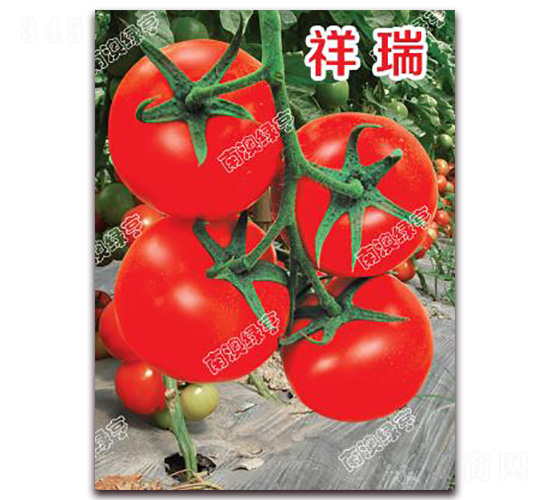 ����-��t���ѷN��-�ϰľG��