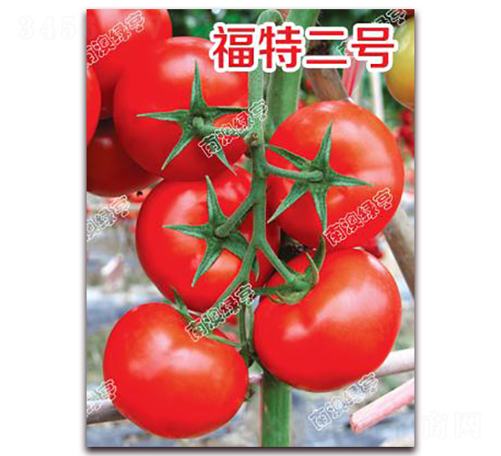 ���ض�̖(h��o)-��t���ѷN��-�ϰľG��