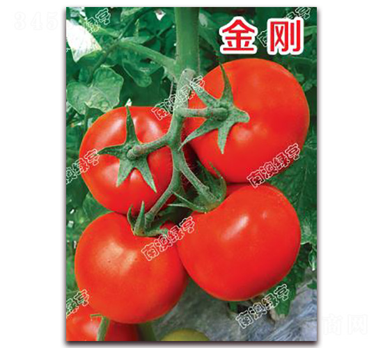 ����-��t���ѷN��-�ϰľG��