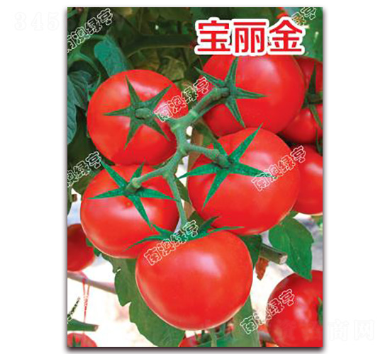 ������-��t���ѷN��-�ϰľG��