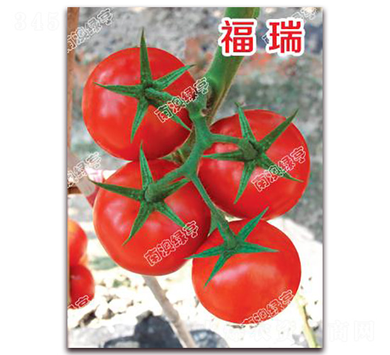 ����-��t���ѷN��-�ϰľG��