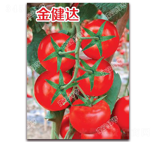 ���_(d��)-��t���ѷN��-�ϰľG��