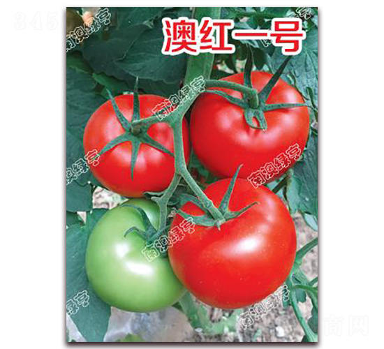 �ļtһ̖(h��o)-��t���ѷN��-�ϰľG��