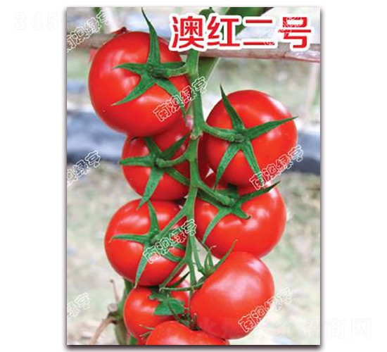 �ļt��̖-��t���ѷN��-�ϰľG��