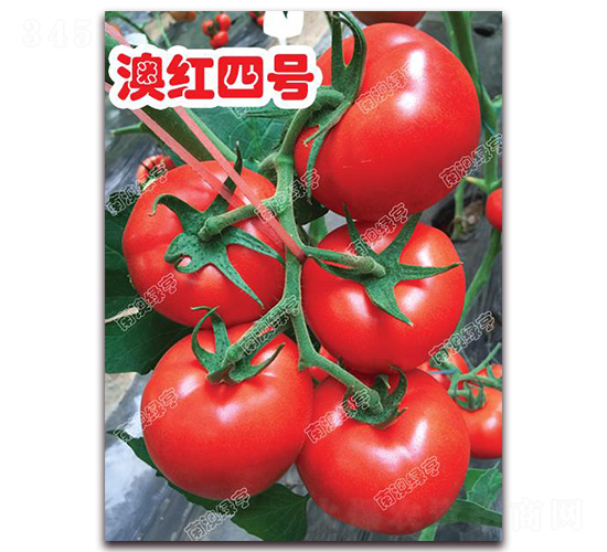 �ļt��̖(h��o)-��t���ѷN��-�ϰľG��