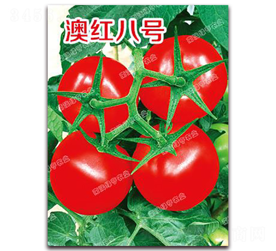 �ļt��̖(h��o)-��t���ѷN��-�ϰľG��