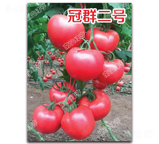 ��Ⱥ��̖(h��o)-�۹����ѷN��-�ϰľG��