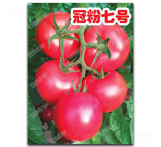 �ڷ���̖-�۹����ѷN��-�ϰľG��