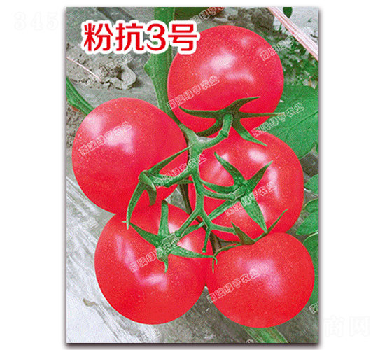 �ۿ�3̖-�۹����ѷN��-�ϰľG��