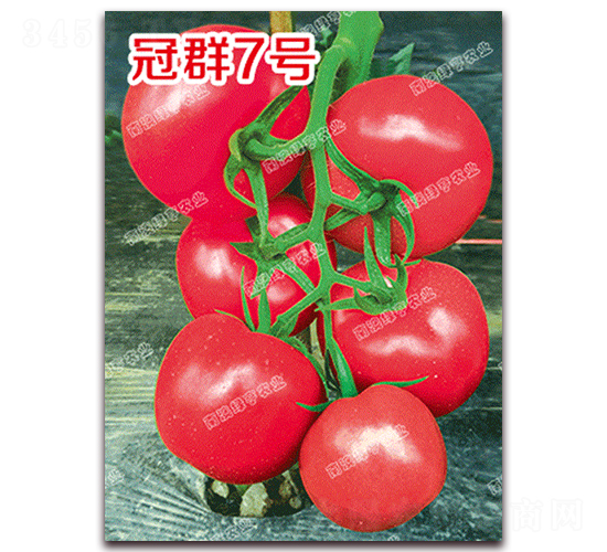 ��Ⱥ7̖(h��o)-�۹����ѷN��-�ϰľG��