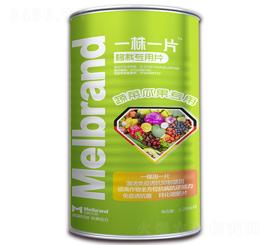 �߲˹Ϲ���������Ƭ-һ��һƬ-���괺