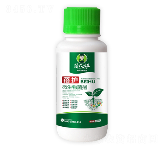 ΢�������-���o-�����