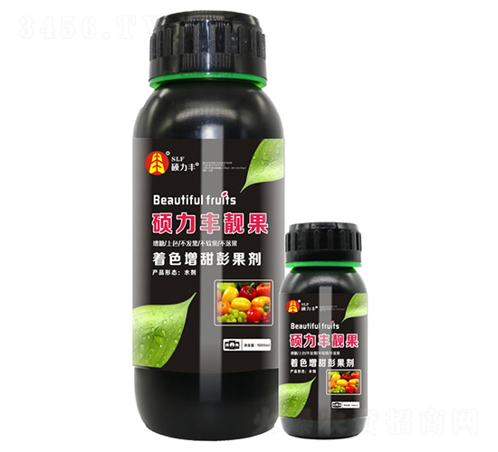 ��ɫ���������-�T���S�n��-�T���S����