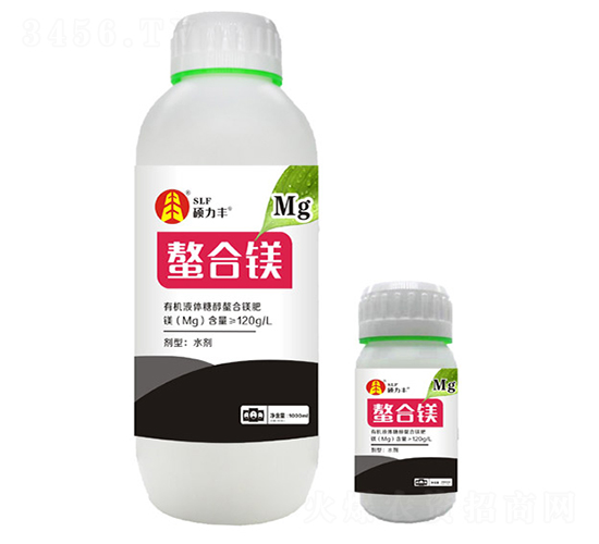 �����V��-�T���S����