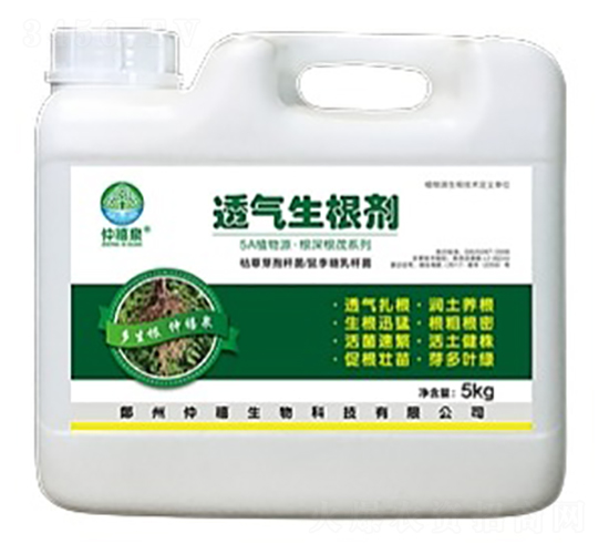 ͸��������-����Ȫ