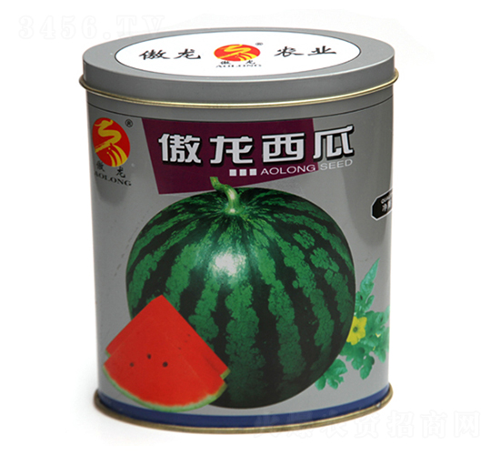 ��������-���ϷN��-����