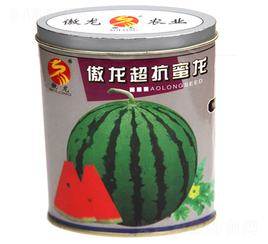 ������������-���ϷN��-����