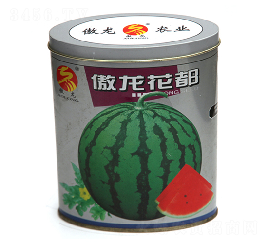 ��������-���ϷN��-����