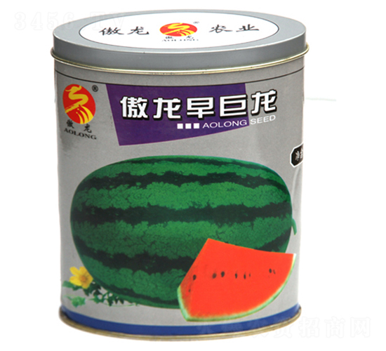 ���������-���ϷN��-����