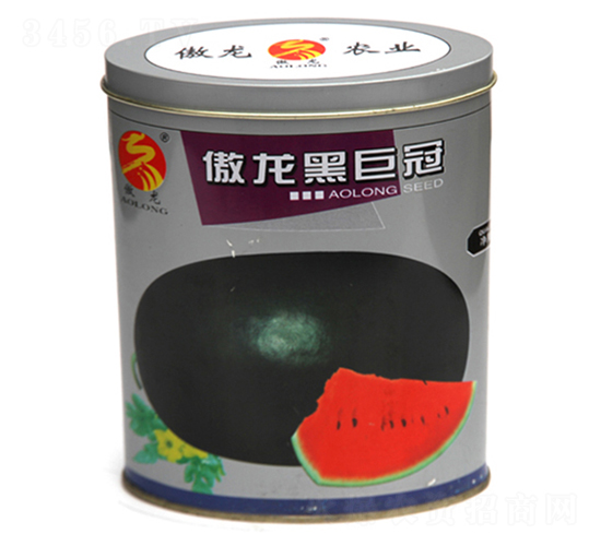 �����ھ޹�-���ϷN��-����