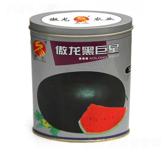 �����ھ���-���ϷN��-����