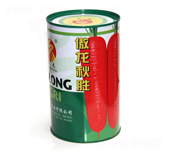 �������-�t�}���N��-����