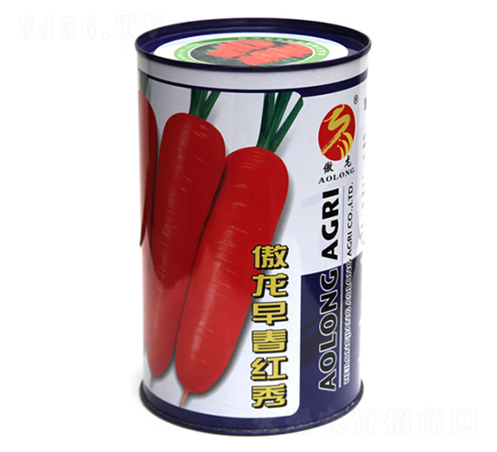 �����紺�t��-�t�}���N��-����