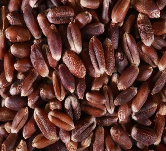 �߮a(ch��n)��С��-С���N��-��T�S�r(n��ng)�I(y��)