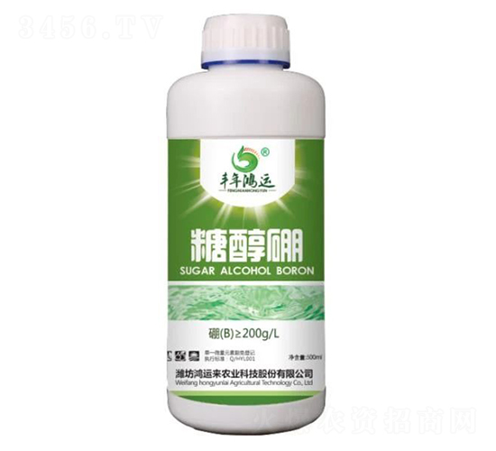 �Ǵ���-�S�����\