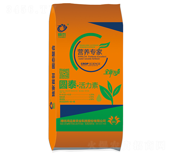 �A̩��������-���\(y��n)��