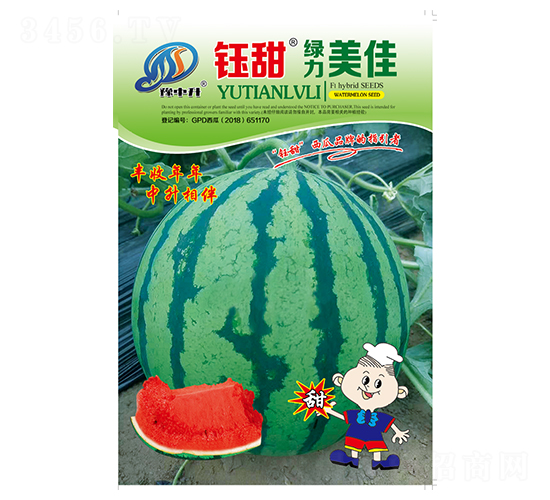 �G������-���ϷN��-���-�����r(n��ng)�I(y��)